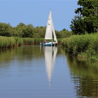 Buy canvas prints of Sailing on the Norfolk Broads by Avril Harris