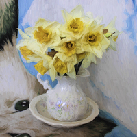 Buy canvas prints of  Daffodils by Avril Harris