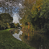 Buy canvas prints of  Oxford Canal in the Autumn by Avril Harris