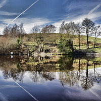 Buy canvas prints of Healey Dell Pool by Avril Harris