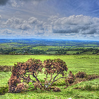 Buy canvas prints of Dartmoor National Park Devon by Avril Harris