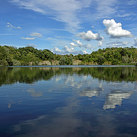 Buy canvas prints of Newbold Quarry Park by Avril Harris