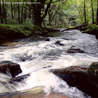 Buy canvas prints of River Fowey Falls Bodmin by Avril Harris