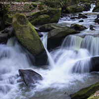 Buy canvas prints of River Spodden Healey Dell  by Avril Harris