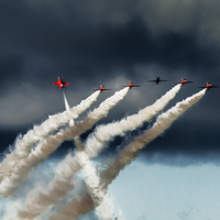 Buy canvas prints of  Red Arrows Goose  by Claire Hartley