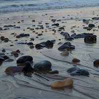 Buy canvas prints of pebbles on beach by carin severn