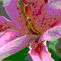 Buy canvas prints of pop art Lily by carin severn