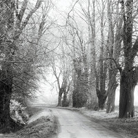 Buy canvas prints of The Lonely Road by carin severn