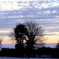 Buy canvas prints of A winters evening by carin severn
