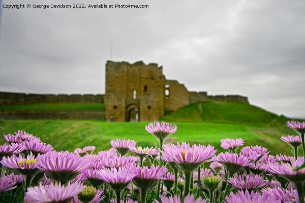 Flowers at the Castle Picture Board by George Davidson
