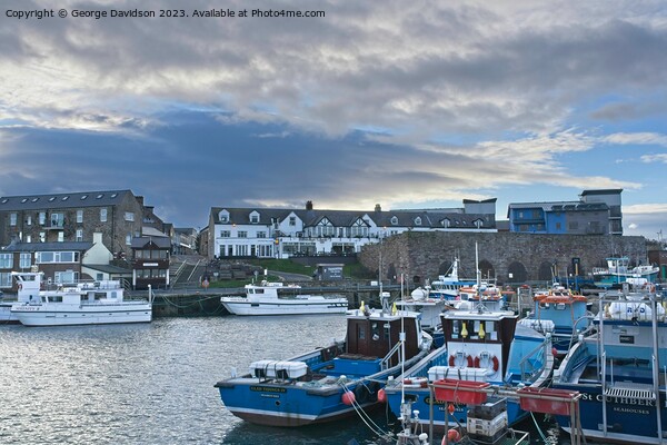 Seahouses Harbour  Picture Board by George Davidson