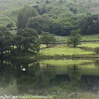 Buy canvas prints of Summer in Grasmere by George Davidson