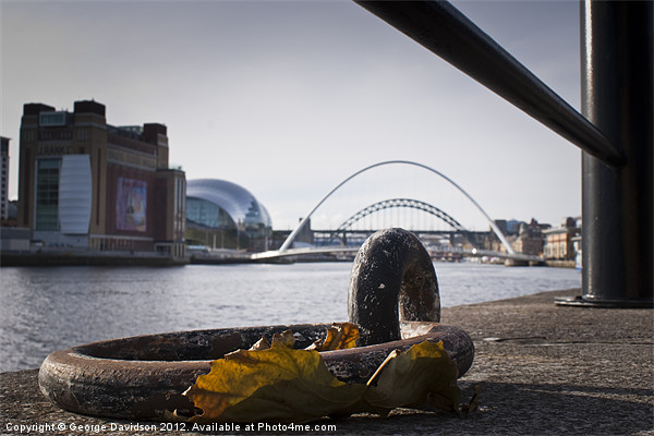 Tyne View Picture Board by George Davidson