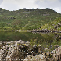 Buy canvas prints of Alcock Tarn by George Davidson