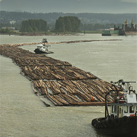 Buy canvas prints of Loggers by George Davidson