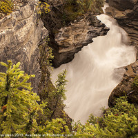Buy canvas prints of Athabasca Falls 02 by George Davidson