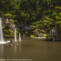 Buy canvas prints of Madeira  Botanical Gardens by George Davidson