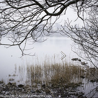 Buy canvas prints of Ullswater Snow by George Davidson