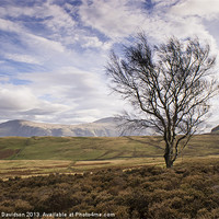 Buy canvas prints of Single Tree, Looking for Friend by George Davidson