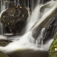 Buy canvas prints of Water Flow by George Davidson
