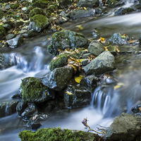 Buy canvas prints of Colourful Flow by George Davidson