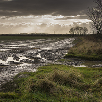 Buy canvas prints of Weather Field by George Davidson