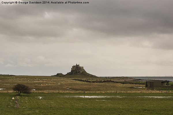 Lindisfarne Castle View Picture Board by George Davidson