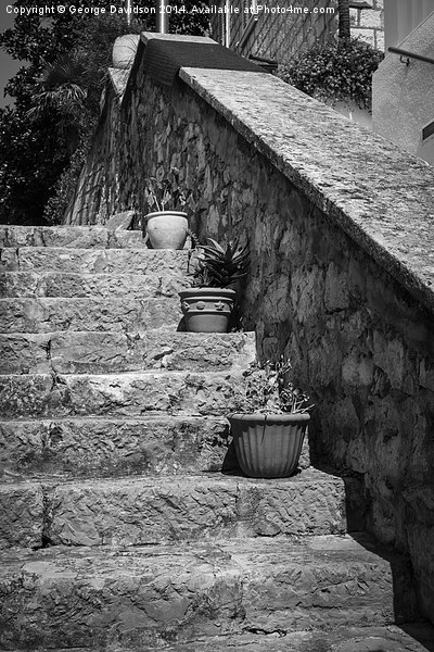 Potted Steps Picture Board by George Davidson