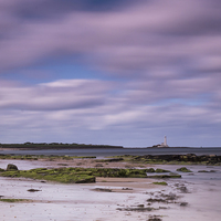 Buy canvas prints of  Far Light House by George Davidson