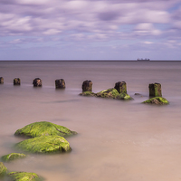 Buy canvas prints of Stumped by George Davidson