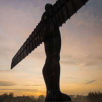 Buy canvas prints of Angel of the North by George Davidson