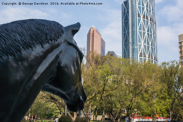 Horse in the Big City Picture Board by George Davidson