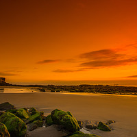 Buy canvas prints of Tynemouth Rock by George Davidson