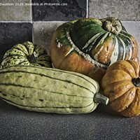 Buy canvas prints of Winter Vegetables by George Davidson