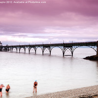 Buy canvas prints of Bathers at Clevedon Pier by David Haylor