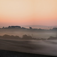 Buy canvas prints of Early Morning at Newlands Corner by David Haylor